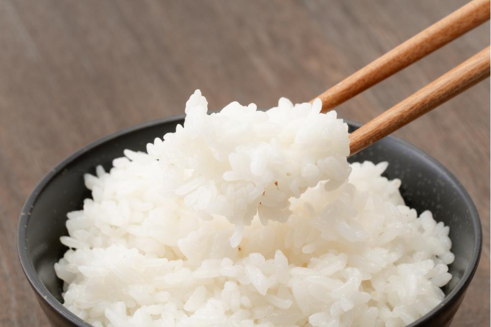 おいしいごはん