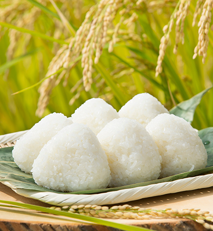 お米の豆知識
